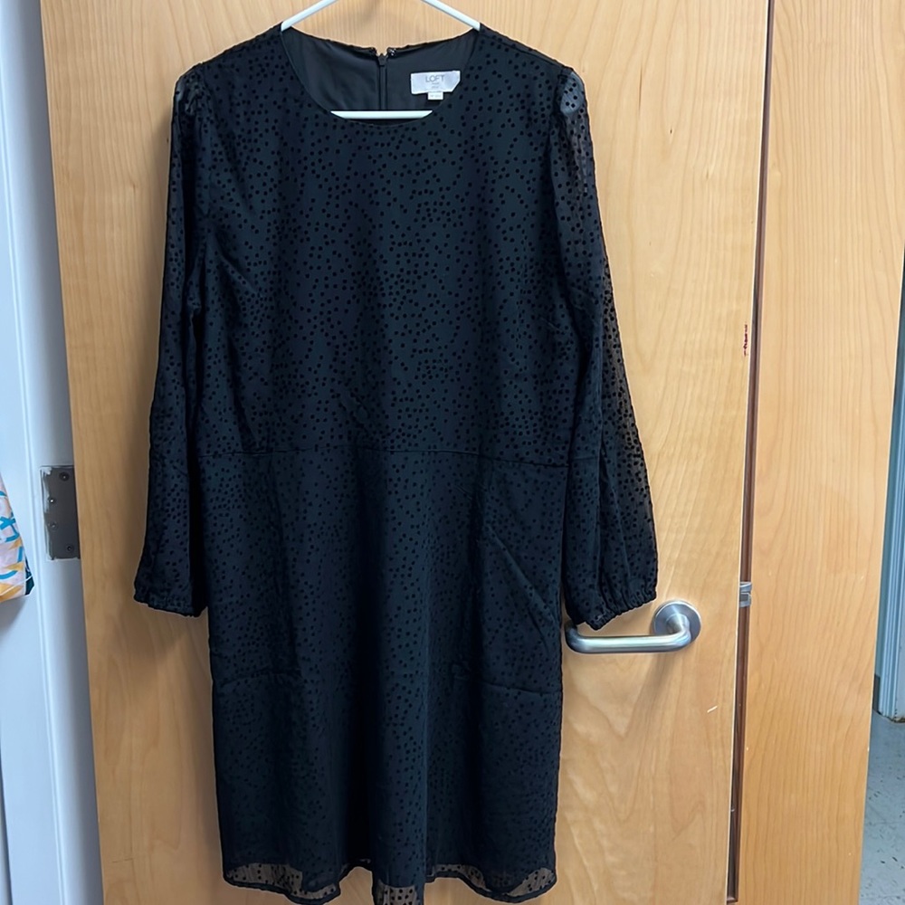 Black polka dot dress (14P)